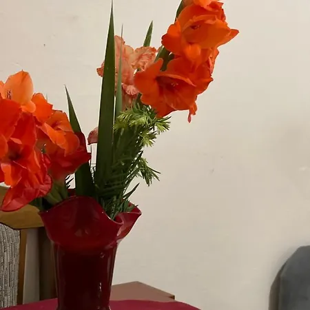 아파트 Miro 트레빈예