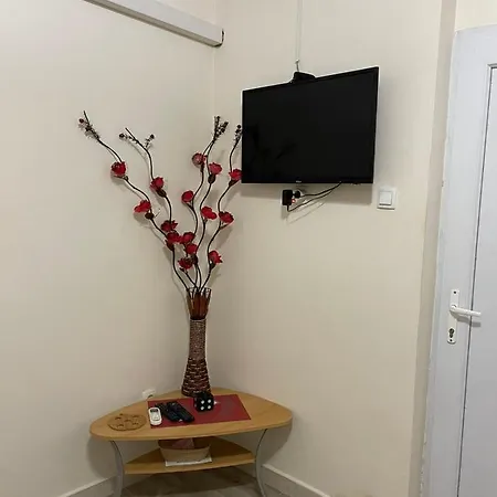Miro 特雷比涅